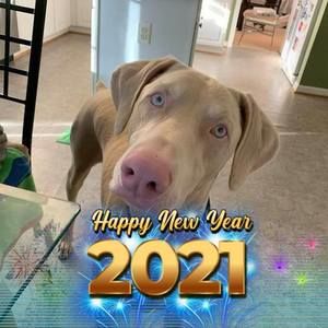 Meet your Posher, Ruth ann